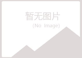 青岛盼夏金属有限公司